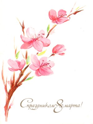 � 8 ����� 